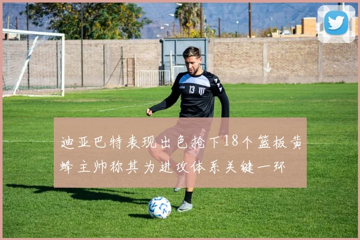 迪亚巴特表现出色抢下18个篮板黄蜂主帅称其为进攻体系关键一环